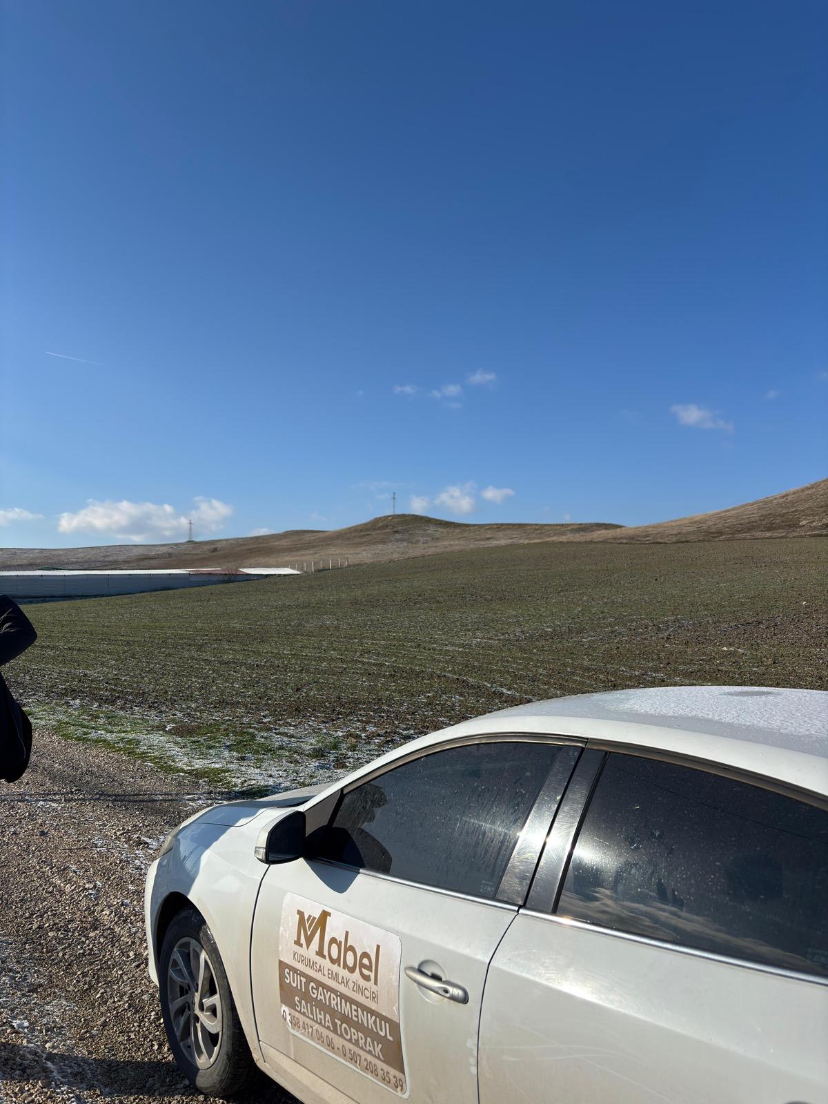 MABEL'DEN KAÇIRILMAYACAK TARLA